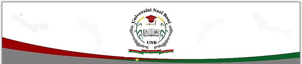 Logo UNIVERSIDAD NAZI BONI